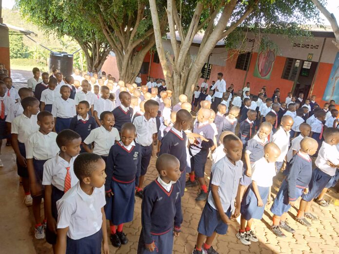 IMG_20241028_074504_853